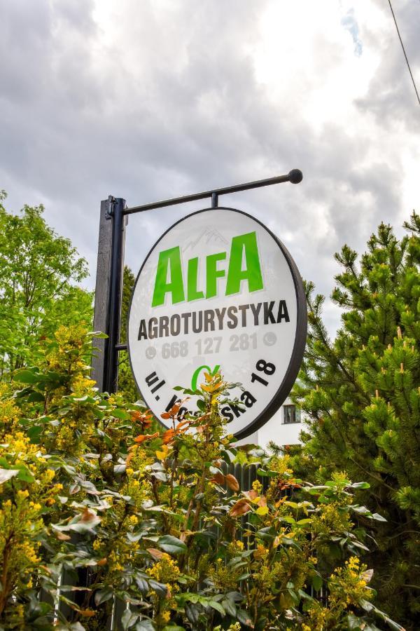 Agroturystyka Alfa Bystra  Zewnętrze zdjęcie